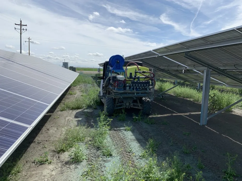 Affordable lawn mowing service in Bakersfield, CA by Technical Spray Services