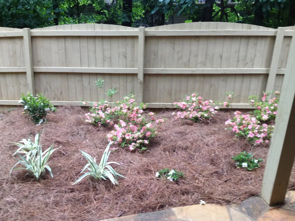 Professional landscaping services in Mcdonough, GA - Technically Scaping