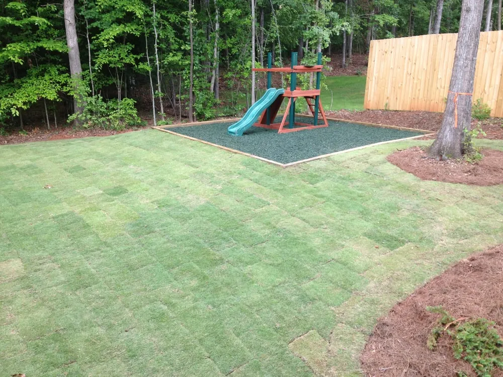 Affordable lawn mowing service experts serving Mcdonough, GA - Technically Scaping