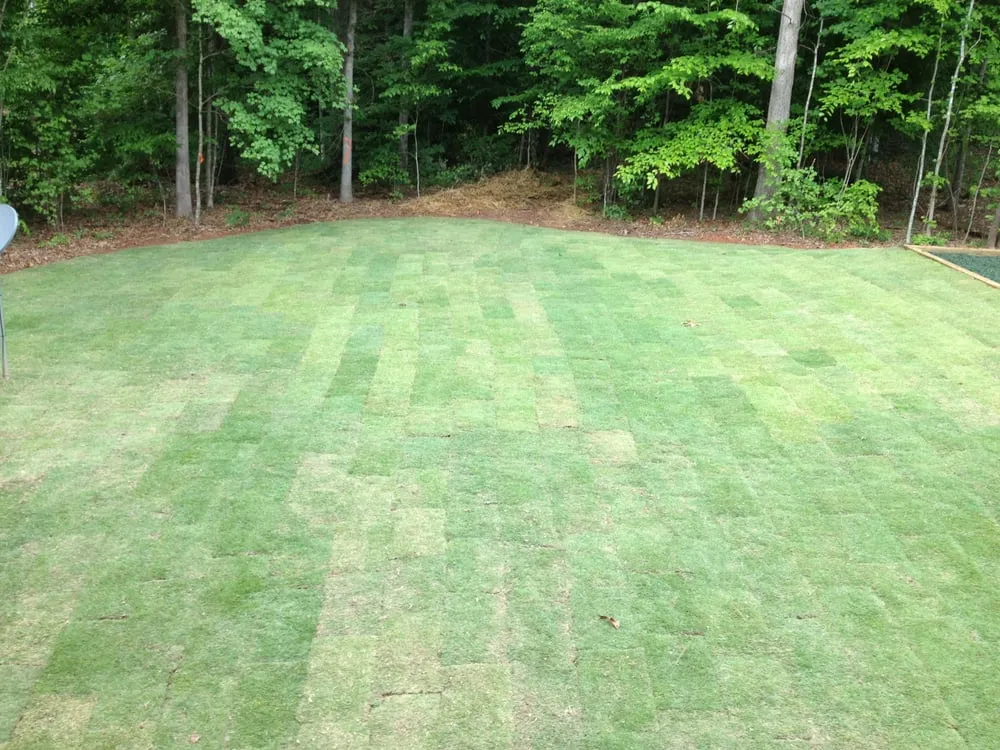 Custom landscape design experts serving Mcdonough, GA - Technically Scaping