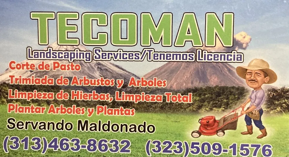 Top-rated yard cleanup service experts serving Los Angeles, CA - Tecoman Landscaping Services
