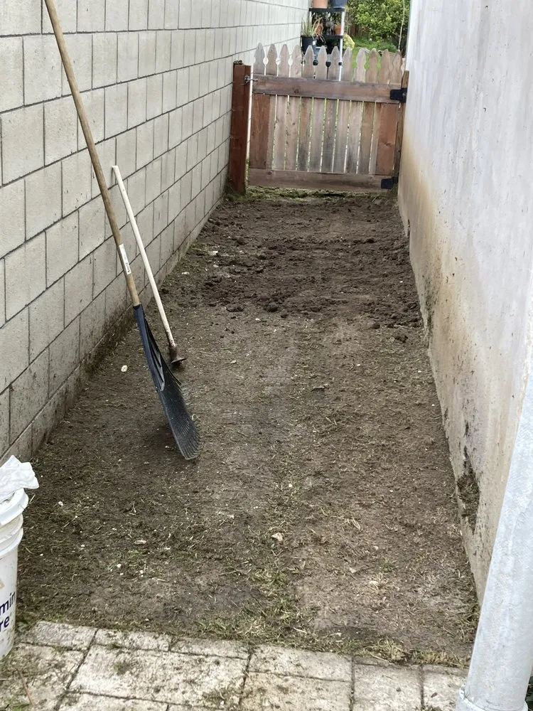 Expert residential landscaping for beautiful yards in Los Angeles, CA by Tecoman Landscaping Services