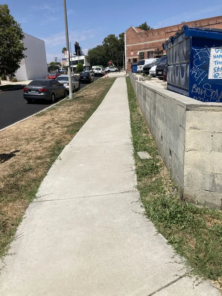 Expert yard maintenance in Los Angeles, CA - Tecoman Landscaping Services