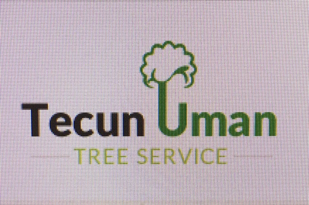 Local landscaping services for year-round maintenance in Sacramento, CA by Tecun Uman Tree Services