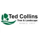 Top-rated lawn mowing service for beautiful yards in Victor, NY by Ted Collins Tree & Landscape