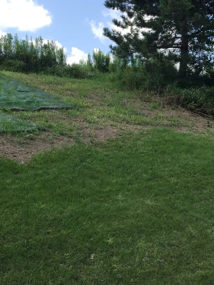 Reliable landscaping services in Victor, NY - Ted Collins Tree & Landscape