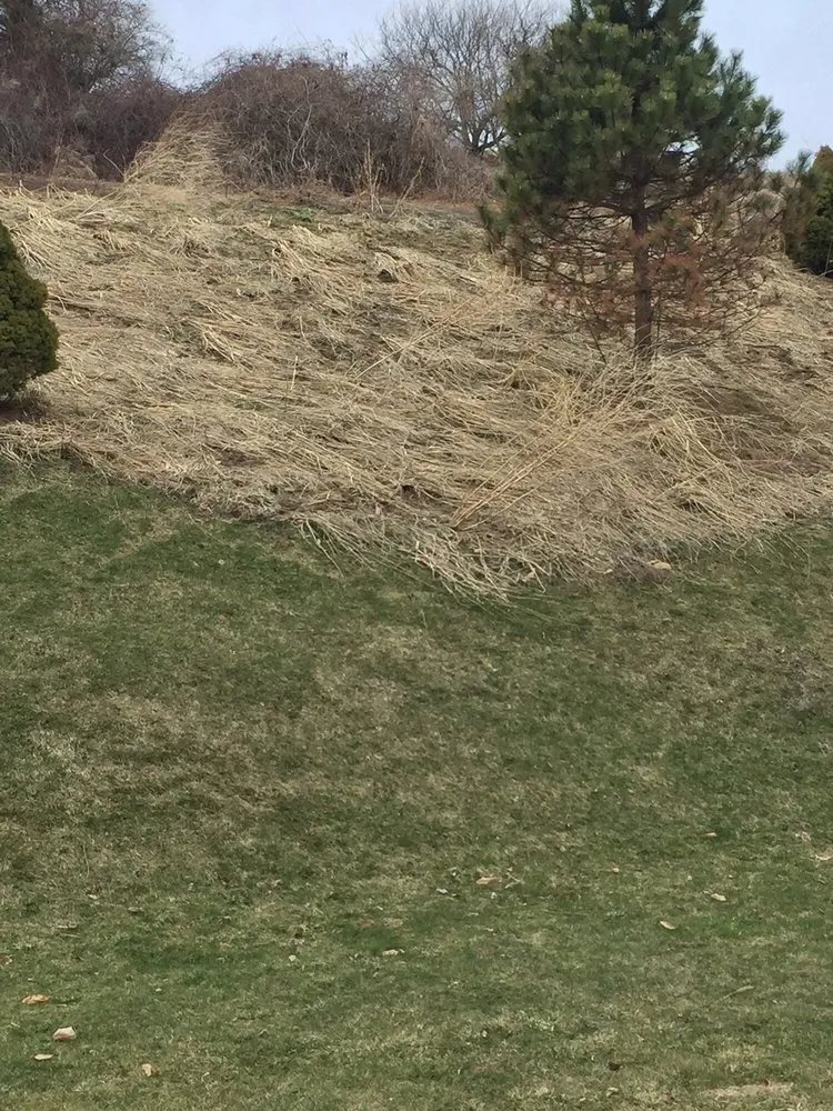 Professional garden landscaping for beautiful yards across Victor, NY - Ted Collins Tree & Landscape