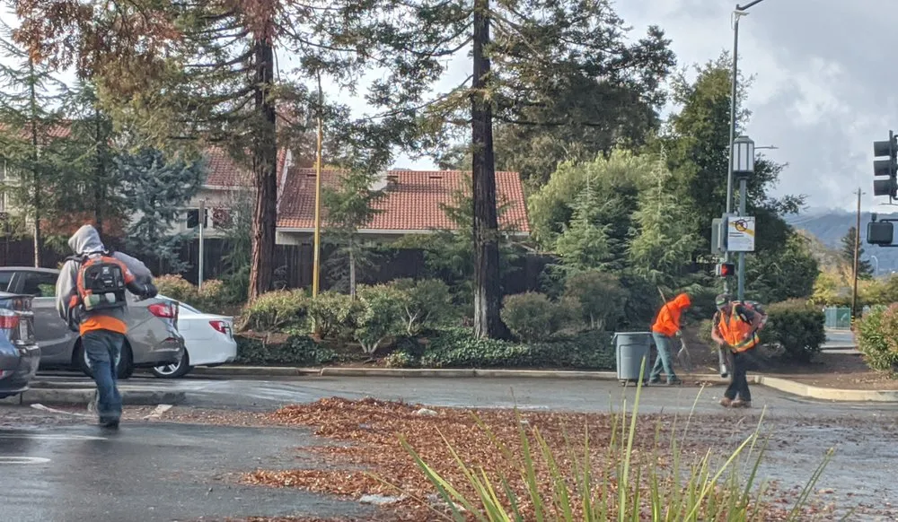 Expert lawn mowing service for homes across Campbell, CA - Ted Cooper/Cooper Industries