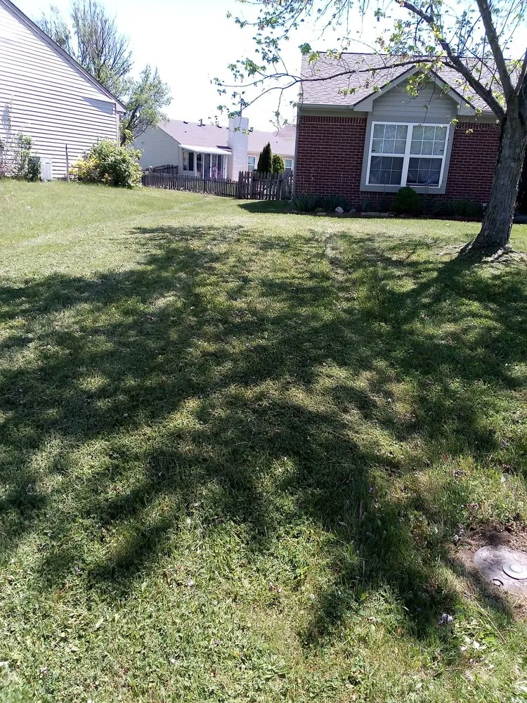 Top-rated residential landscaping experts serving Noblesville, IN - Teddy and Sons Lawn Service and More