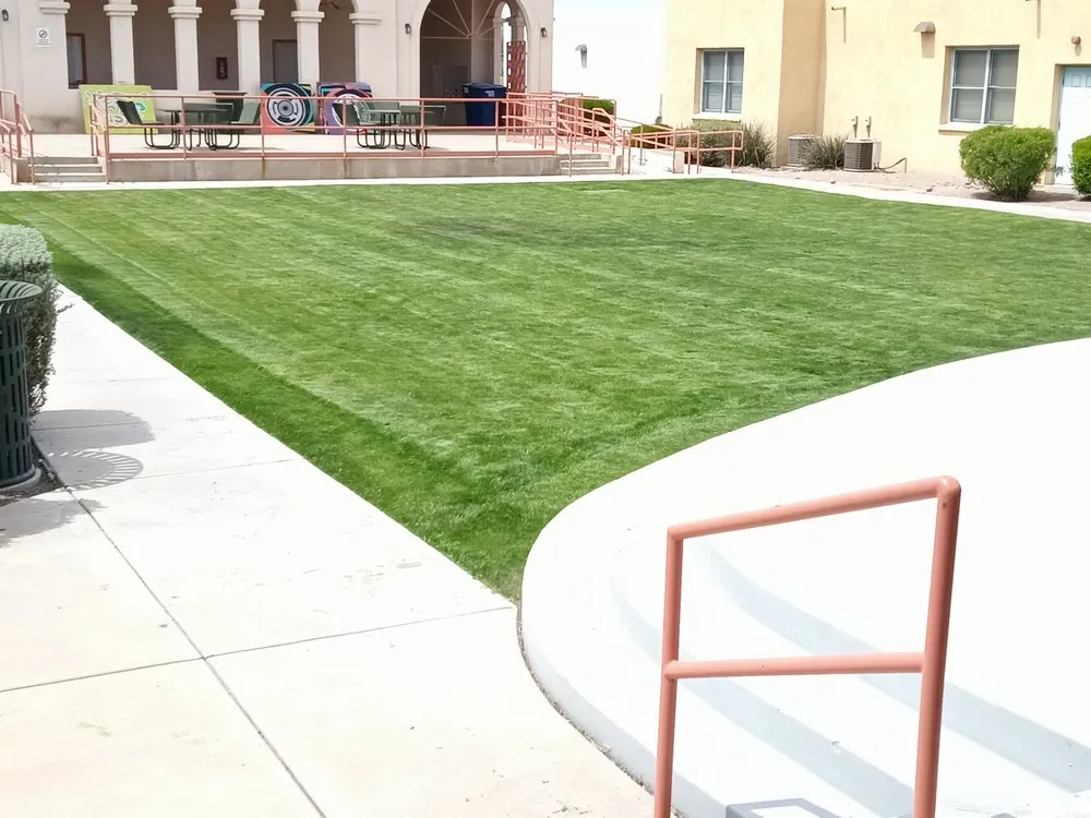 Expert yard maintenance for residential properties in Tucson, AZ by Teddy's Landscaping Maintenance