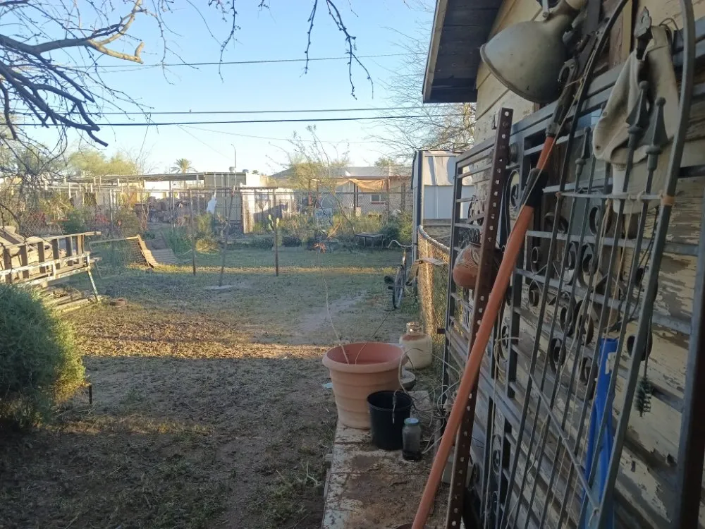 Reliable yard cleanup service experts serving Tucson, AZ - Teddy's Landscaping Maintenance