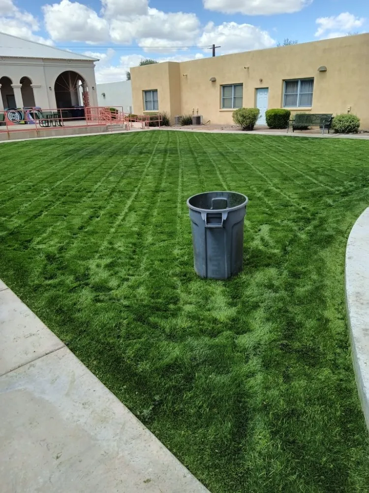 Professional outdoor landscaping in Tucson, AZ - Teddy's Landscaping Maintenance