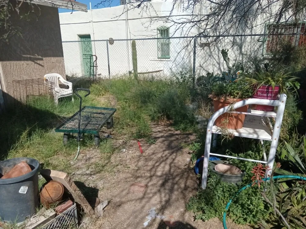 Top-rated outdoor landscaping in Tucson, AZ - Teddy's Landscaping Maintenance