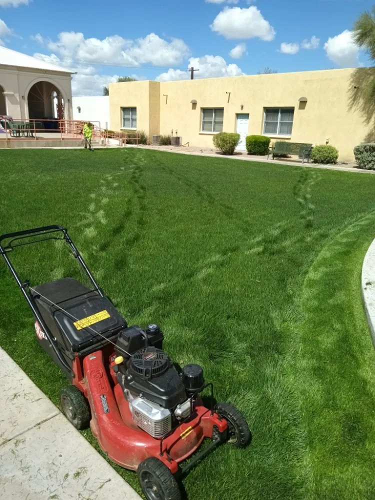 Affordable garden landscaping for year-round maintenance across Tucson, AZ - Teddy's Landscaping Maintenance