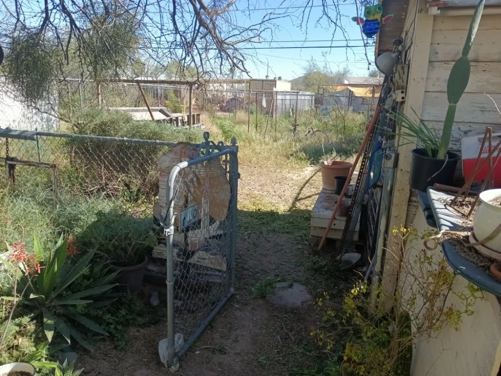 Custom yard cleanup service in Tucson, AZ - Teddy's Landscaping Maintenance