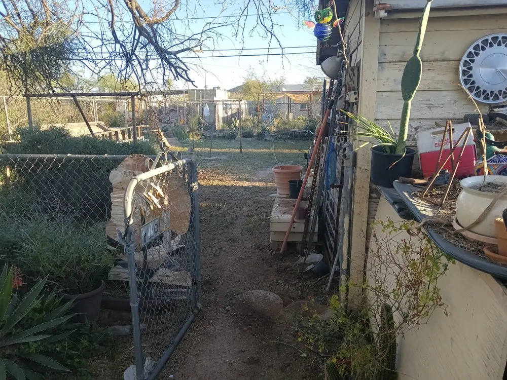 Local landscape design for beautiful yards across Tucson, AZ - Teddy's Landscaping Maintenance