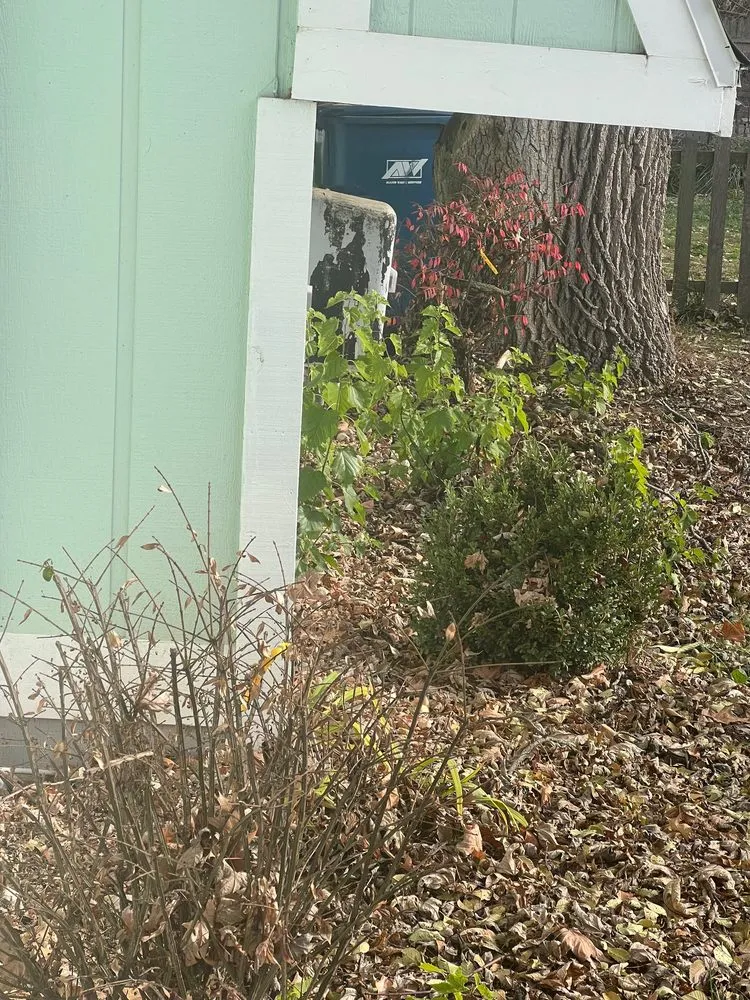 Reliable yard maintenance in Livonia, MI by Teddy's Lawn & Landscape