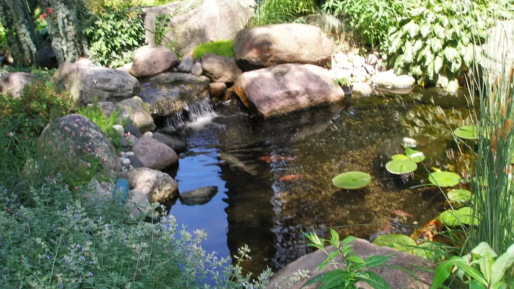 Professional yard cleanup service for homes across Livonia, MI - Teddy's Lawn & Landscape