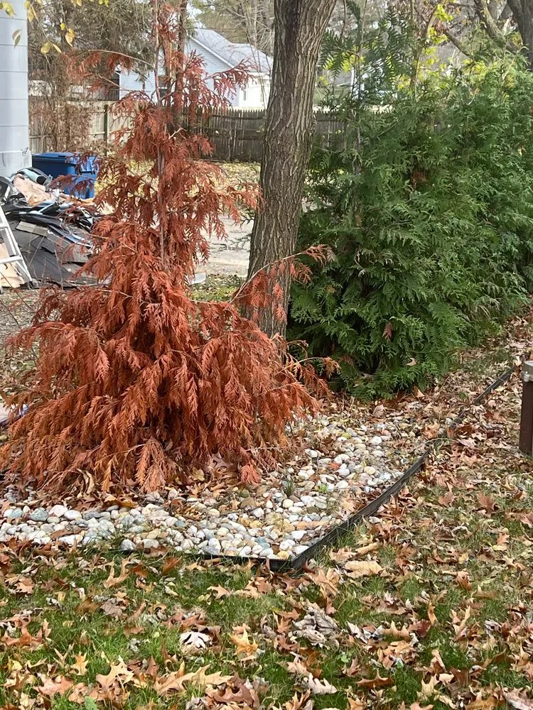 Trusted landscape design in Livonia, MI by Teddy's Lawn & Landscape