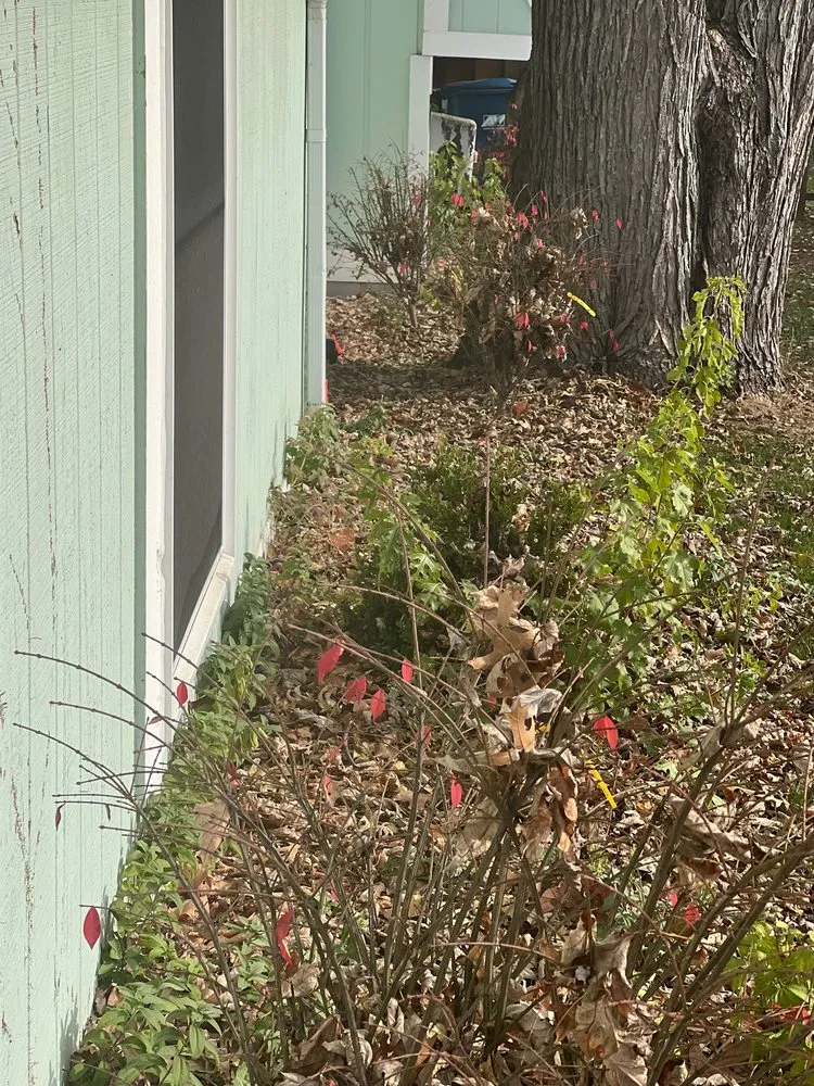 Reliable landscape installation in Livonia, MI by Teddy's Lawn & Landscape