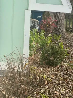 Teddy's Lawn & Landscape Logo