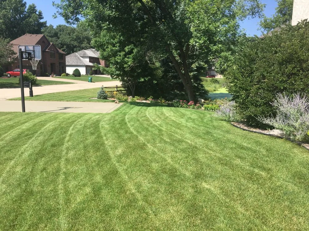 Trusted lawn care service in Brooklyn Park, MN - Tedious LLC