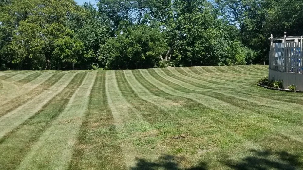 Reliable yard cleanup service for homes across Plainfield, IL - Tedious Tasks