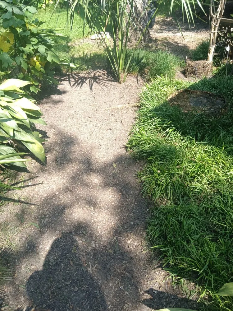 Affordable landscape installation in Houston, TX - Teds Lawn Care