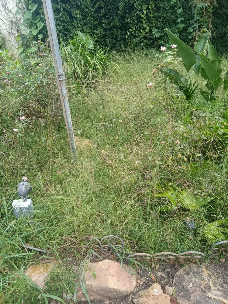 Local landscape design in Houston, TX - Teds Lawn Care