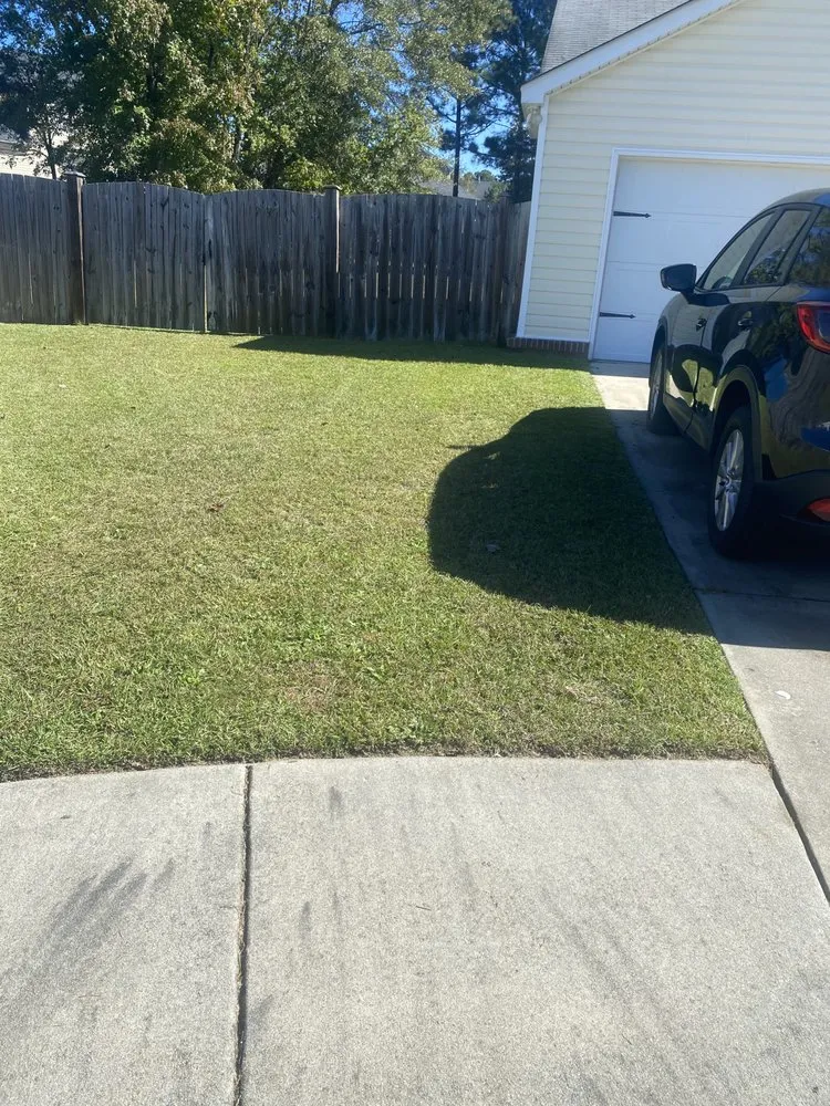 Expert yard maintenance for residential properties across Columbia, SC - Ted’s Mowing Service