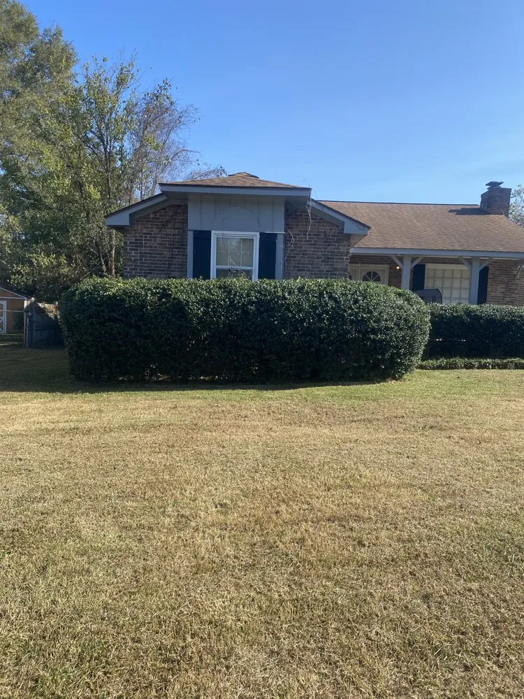 Local yard maintenance for year-round maintenance across Columbia, SC - Ted’s Mowing Service