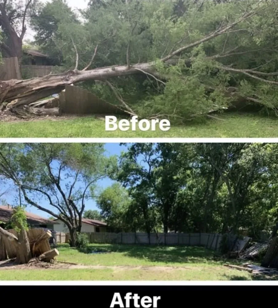 Affordable lawn mowing service in Kerrville, TX by Teds Tree Trimming And Lawn Service