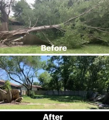 Teds Tree Trimming And Lawn Service Logo