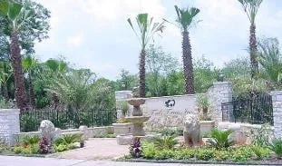 Professional outdoor landscaping for outdoor upgrades in Austin, TX by Ted's Trees