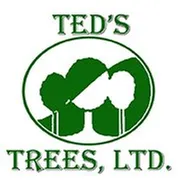 Reliable landscaping services in Austin, TX - Ted's Trees