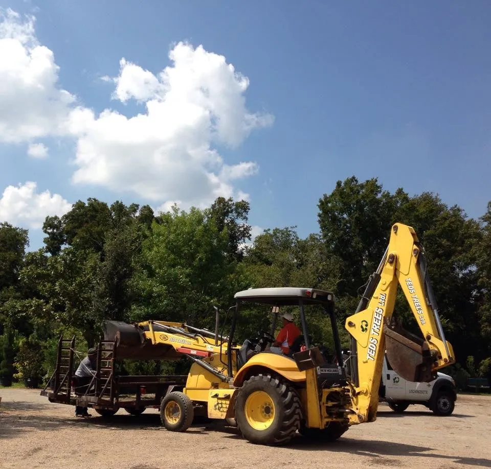 Local lawn care service for beautiful yards across Austin, TX - Ted's Trees