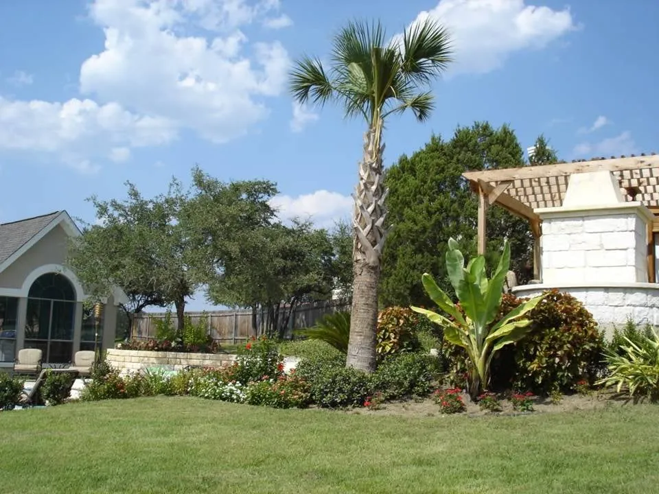 Custom garden landscaping in Austin, TX by Ted's Trees