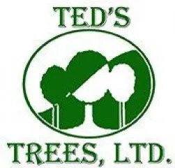 Reliable yard maintenance in Austin, TX - Ted's Trees