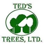 Reliable landscaping services in Austin, TX - Ted's Trees