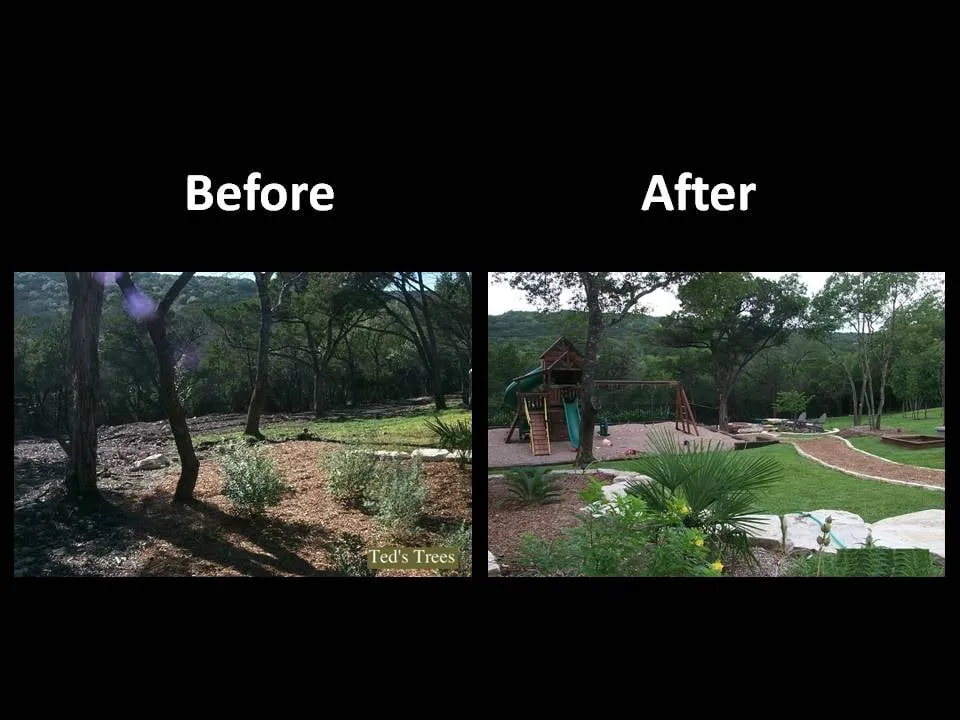 Affordable outdoor landscaping for residential properties in Austin, TX by Ted's Trees