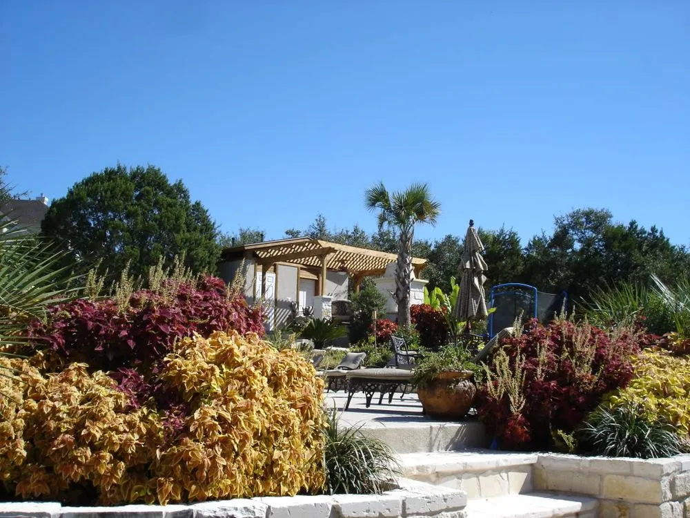 Local landscape installation for outdoor upgrades in Austin, TX by Ted's Trees