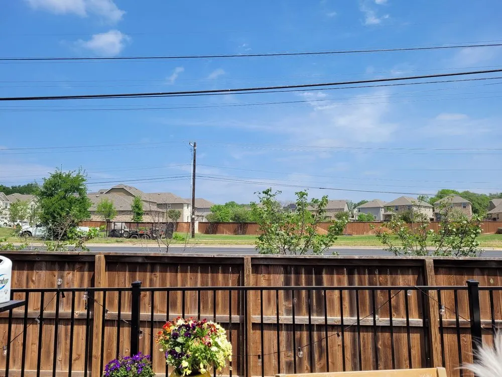 Reliable yard cleanup service experts serving Austin, TX - Ted's Trees