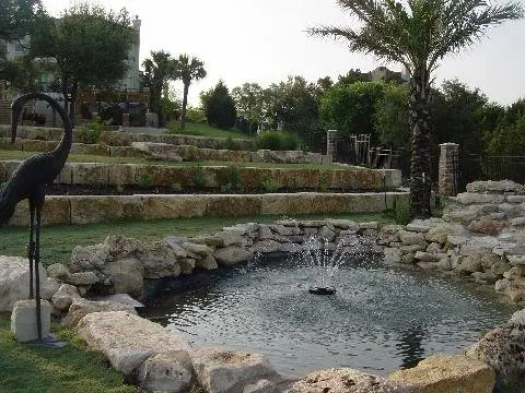 Top-rated lawn care service for residential properties in Austin, TX by Ted's Trees