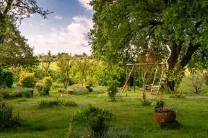 Expert landscape design experts serving Austin, TX - Ted's Trees