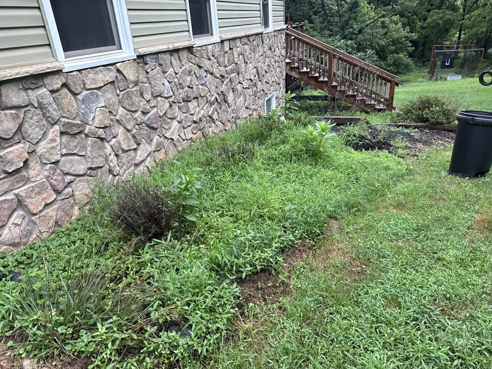 Professional lawn care service for outdoor upgrades across Bealeton, VA - Tee It Up Services