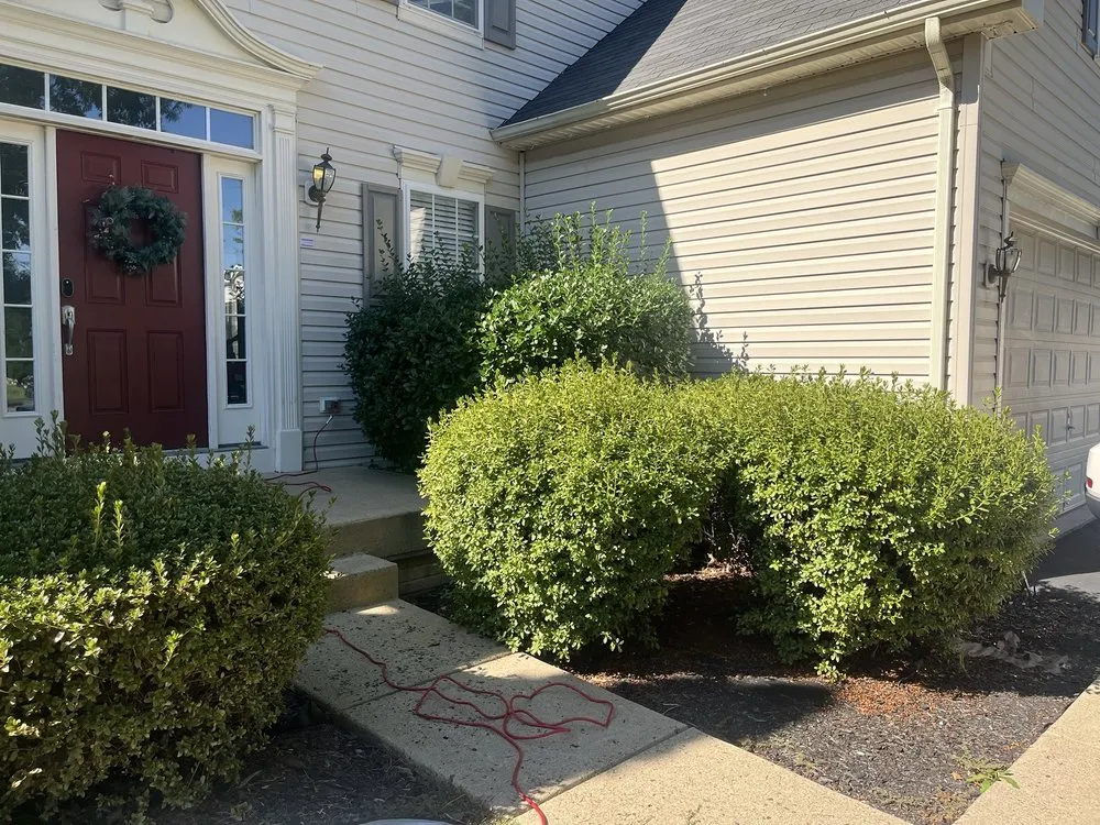 Expert yard cleanup service experts serving Bealeton, VA - Tee It Up Services