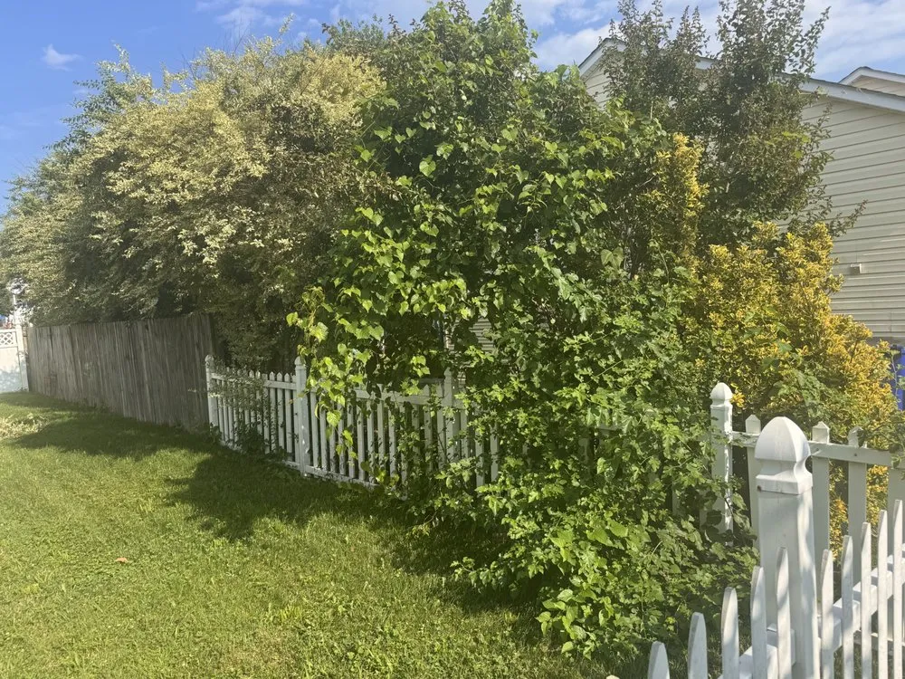 Top-rated lawn mowing service with custom design in Bealeton, VA by Tee It Up Services