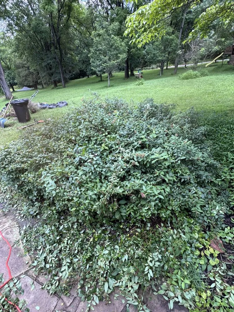 Top-rated lawn mowing service for outdoor upgrades across Bealeton, VA - Tee It Up Services