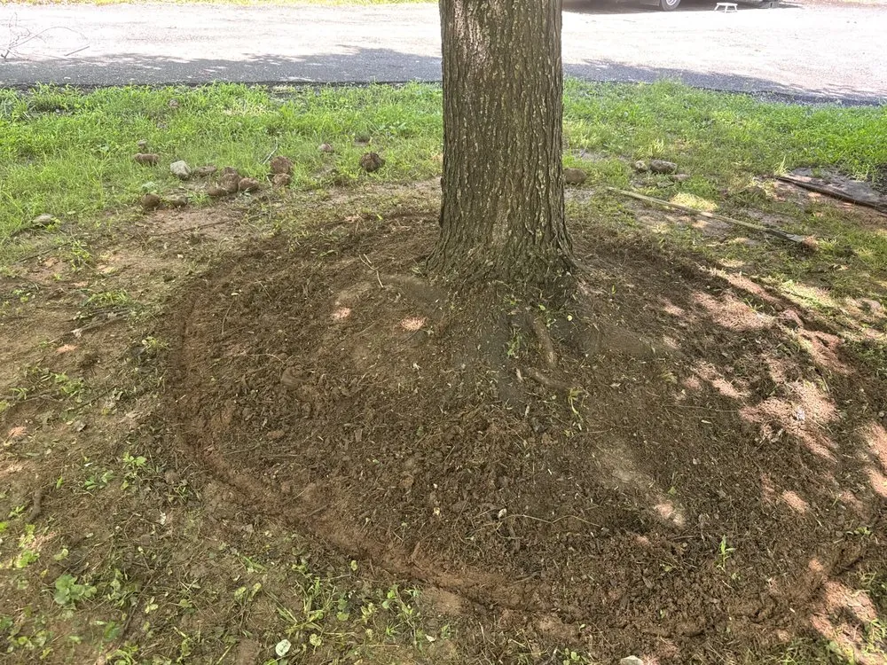 Professional yard cleanup service in Bealeton, VA by Tee It Up Services