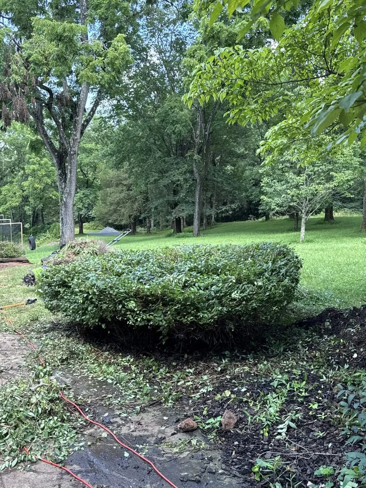 Custom yard maintenance for outdoor upgrades in Bealeton, VA by Tee It Up Services